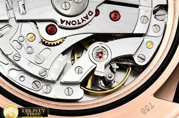 1222 ROLDYT0248B -Daytona FashionForward 902